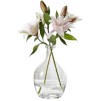 工芸品  Pampula vase 290mm Amazon.com: Kimdio Blue Ceramic Vase with Handle, Modern